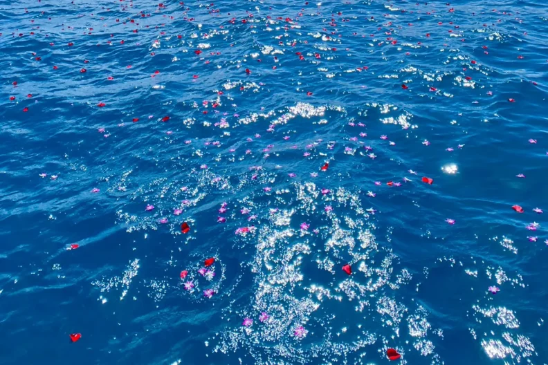 散骨セレモニー